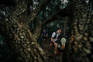 BIB: 
                            <button type="button" onclick="openModal(25679200)" class="btn btn-primary btn-sm float-right btn-popup" data-toggle="modal" data-target=".modal-high-quality">
                        <i class="fas fa-shopping-cart"></i> Add to Cart
                    </button>
                                            <button type="button" onclick="isThisMe(25679200, true)" class="btn btn-success btn-sm float-right btn-popup btn-isme hidden" data-toggle="tooltip" data-placement="bottom" title="นี่คือรูปของคุณใช่ไหม คลิกที่นี่เพื่อเอาเข้าอัลบั้ม">
                        <i class="fas fa-plus"></i> Add to album
                    </button>
                    <button type="button" onclick="isThisMe(25679200, false)" class="btn btn-warning btn-sm float-right btn-popup btn-isnotme hidden">
                        <i class="fas fa-ban"></i> Remove from album
                    </button>